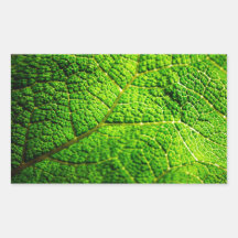 Green Leaf Macro Stickers