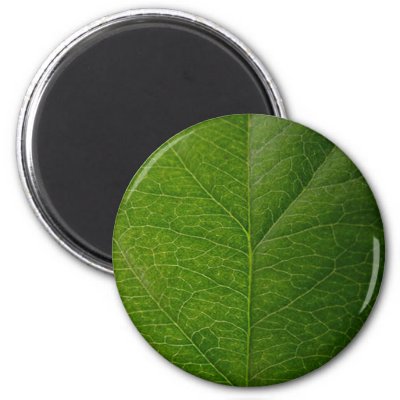 Green Leaf Fridge Magnets