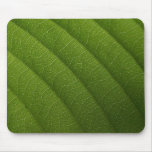 Green leaf mouse mats