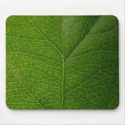 Green Leaf Mouse Pad