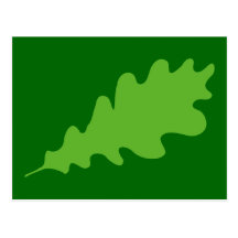Green Leaf, Oak Tree leaf Design. Postcard