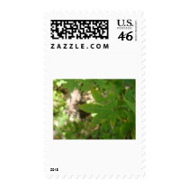green leaf postage by Elfain green leaf postage