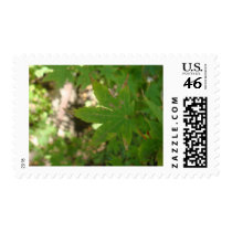 green leaf postage by Elfain green leaf postage