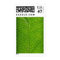 nature, green, leaf, funny, environment, tree, earth, recycling, natural, postage, earth day, original, foliar, organic, business, stamp, Stamp with custom graphic design