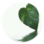 Green Leaf reflection on water theme Sticker