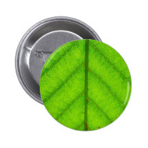 Green Leaf Round Button