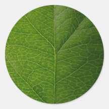 Green Leaf Round Stickers