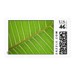 Green Leaf Stamp