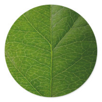 Green Leaf Round Stickers