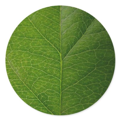 Green Leaf Round Stickers