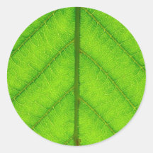 Green Leaf Stickers
