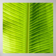 Green Leaf texture Art poster