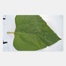 Green Leaf Texture Rectangular Sticker