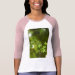 Ladies 3/4 Sleeve Raglan (Fitted)
