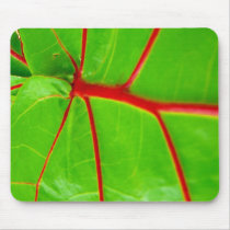 Green Leaf with Red Veins Mouse Mat
