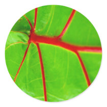 Green Leaf with Red Veins stickers by AryadnaDesign Green Leaf with Red Veins stickers