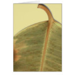 Green Leave Card
