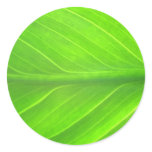green leave round sticker