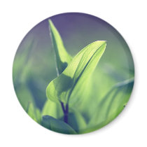 Green Leaves