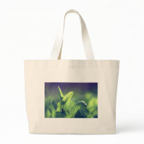 Green Leaves