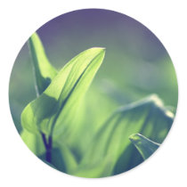 Green Leaves