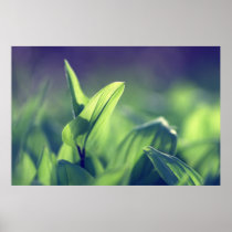 Green Leaves