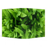 Green Leaves binder