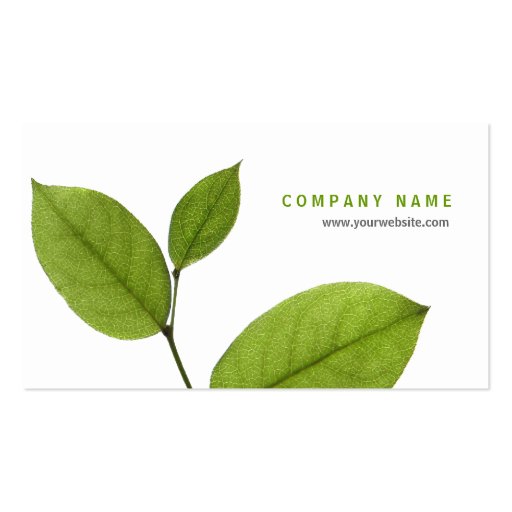 Green Leaves business card (back side)