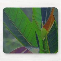 Green Leaves Close-Up Mouse Pad