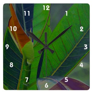 Green Leaves Close-Up Square Wallclocks