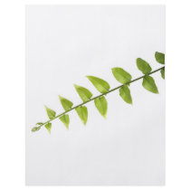 Green leaves custom flyer