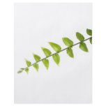 Green leaves flyers