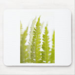 Green Leaves, Green Plant, Plants, Earth Mousepads
