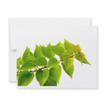 Green leaves custom announcements