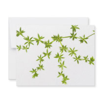 Green leaves invite