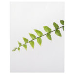 Green leaves letterhead