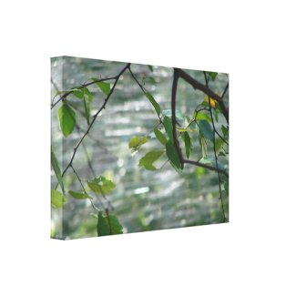 Green Leaves Of Hope Canvas Print
