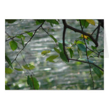 Green Leaves of Hope Cards