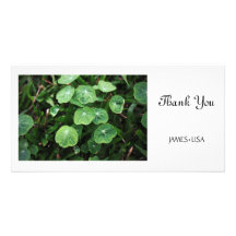 Green Leaves Personalized Photo Card