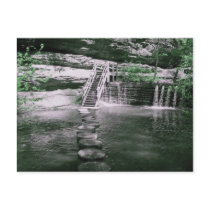 Green Leaves Post Card