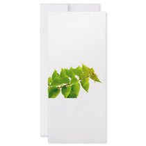 Green leaves rack cards
