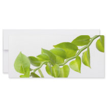 Green leaves personalized rack card