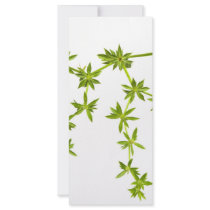 Green leaves full color rack card
