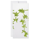 Green leaves full color rack card