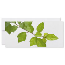 Green leaves customized rack card
