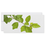 Green leaves customized rack card