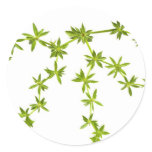 Green leaves stickers
