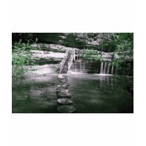 Green Leaves
