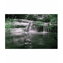 Green Leaves