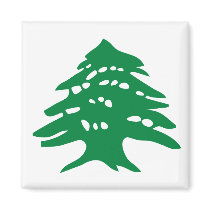 Green Lebanon Cedar Magnet